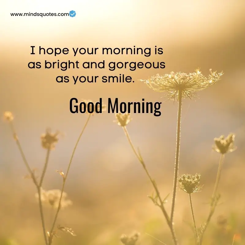 261+ BEST Good Morning Quotes for Inspire your Full day 24 Beautiful Good Morning Quotes
