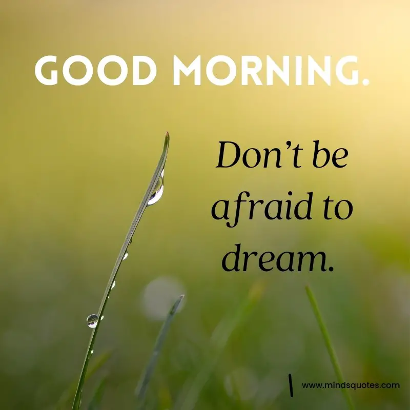 261+ BEST Good Morning Quotes for Inspire your Full day 50 Good Morning Motivational Quotes