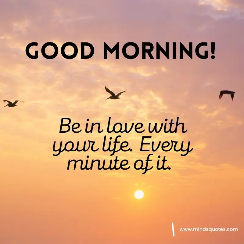 261+ BEST Good Morning Quotes for Inspire your Full day 34 good morning quotes and images