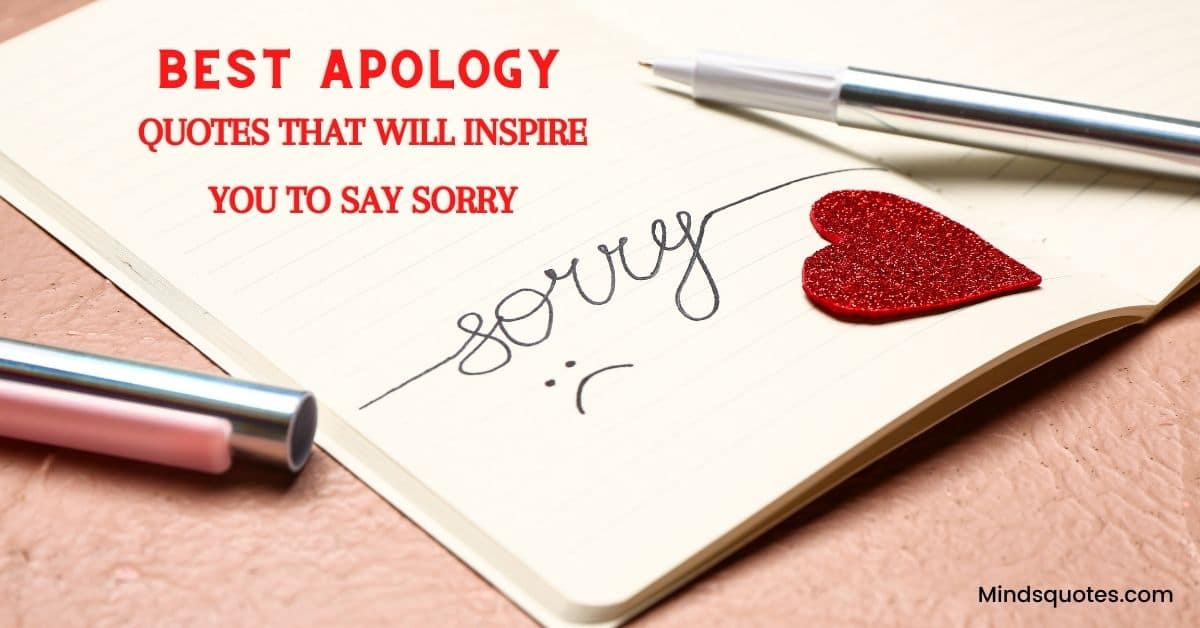 115+ BEST Apology Quotes That Will Inspire You To Say Sorry