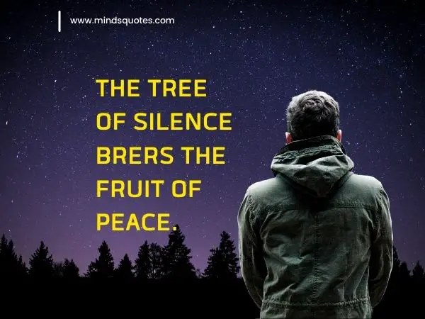 90+ BEST Silence Quotes To Help You Deal With Daily Pressure 16 Silence Quotes