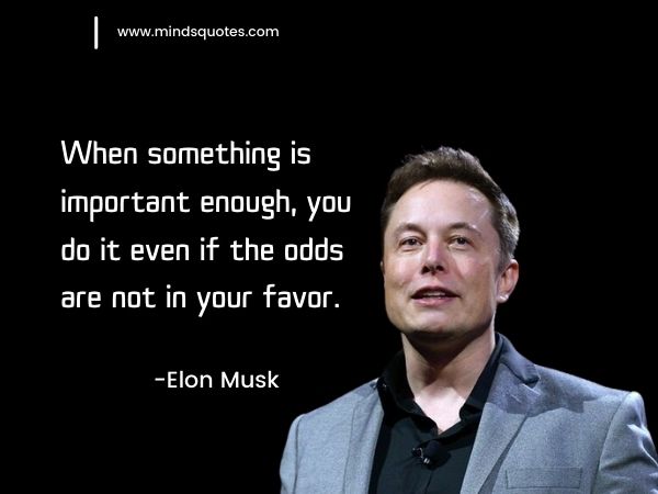 achieve goals -Elon Musk