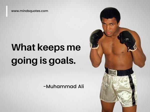 258+ Best Goal Quotes About Life Achieving Success Dreams 5 achieving goals quotes