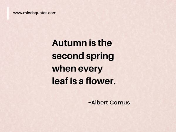 150 Best Albert Camus Quotes (Philosophy of Albert Camus) 15 albert camus quotes on love