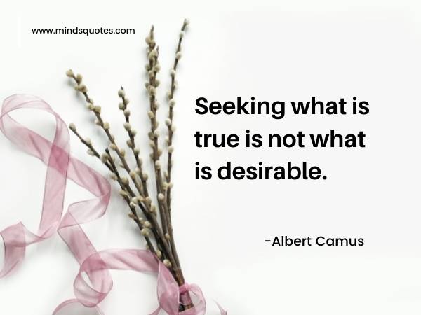 150 Best Albert Camus Quotes (Philosophy of Albert Camus) 16 albert camus quotes on love
