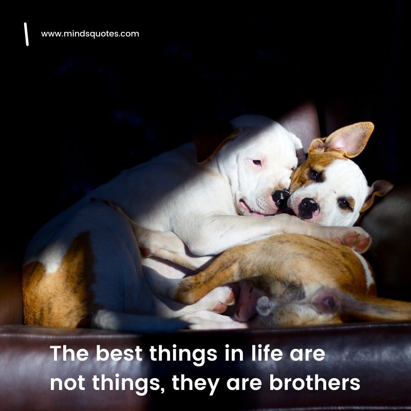brothers quotes