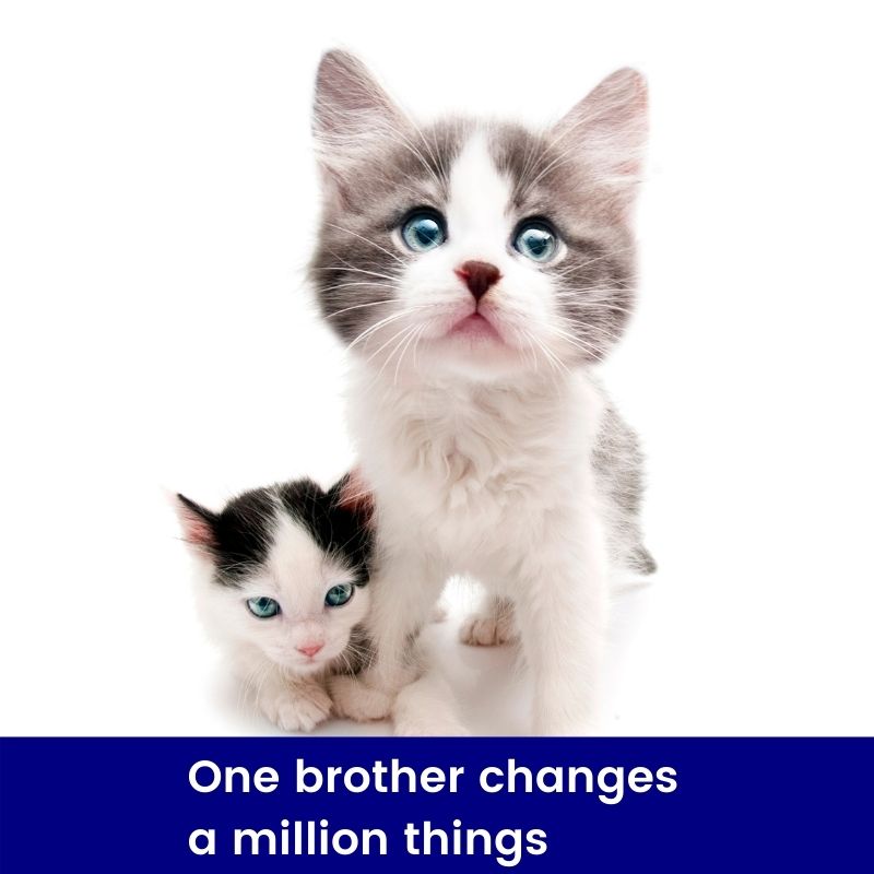 caption for brother - brother status - brother love quotes