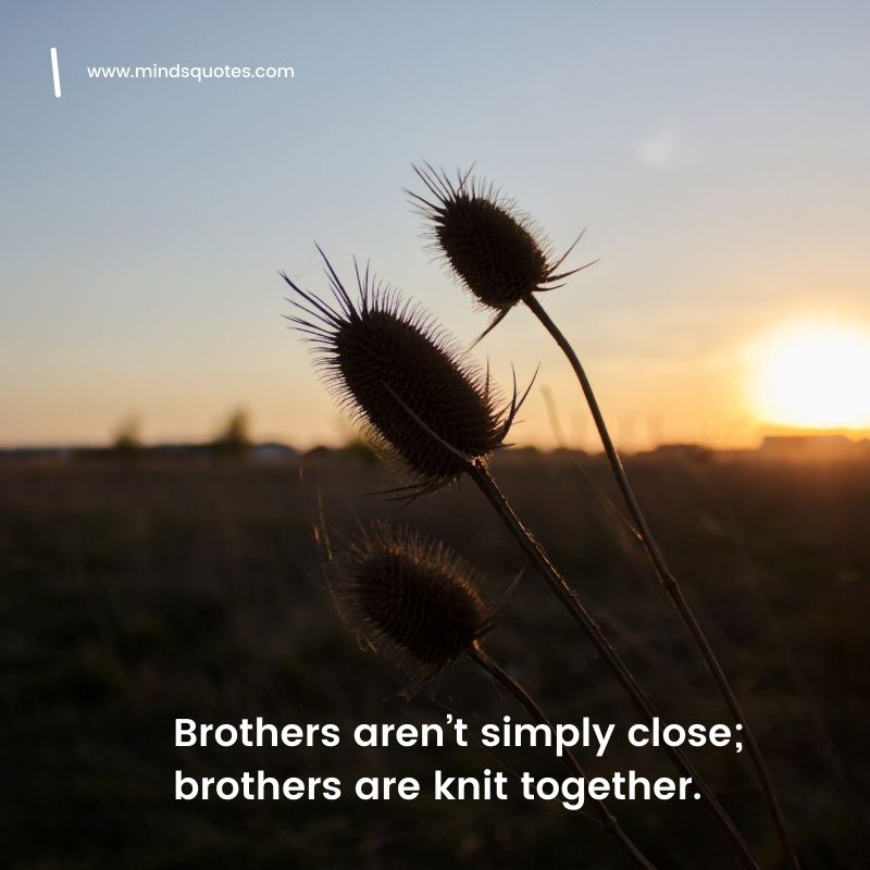 good brother quotes