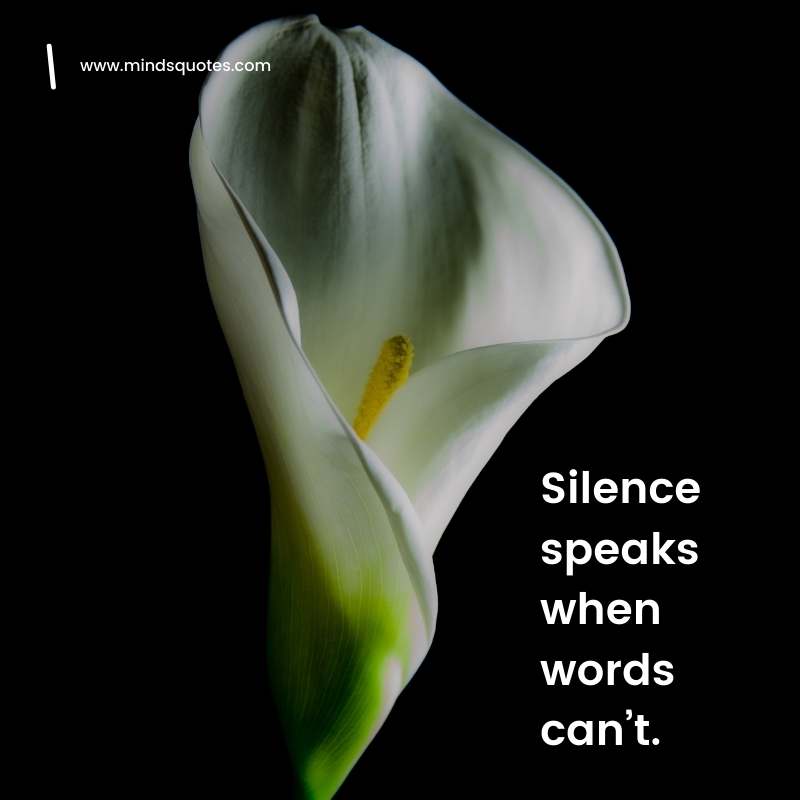 The 80 Best Move In Silence Quotes To Help You Stay Focused 18 move in silence quotes