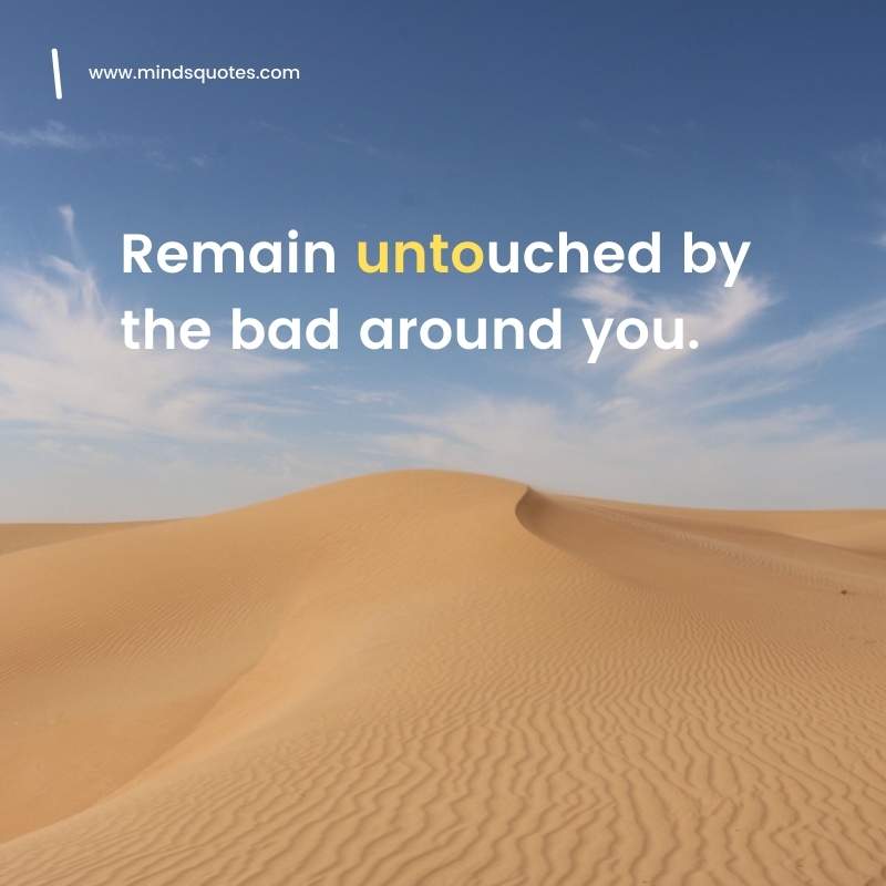50+ BEST Unbothered Quotes Change Your Unbothered Life 3 unbothered quotes - Remain untouched by the bad around you.