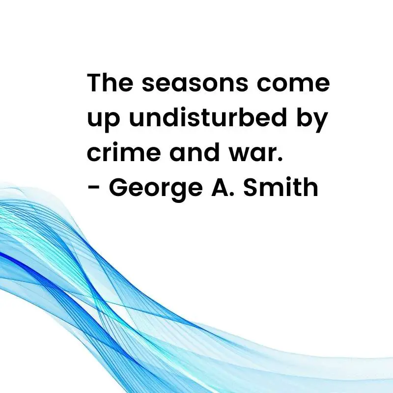 50+ BEST Unbothered Quotes Change Your Unbothered Life 10 unbothered quotes