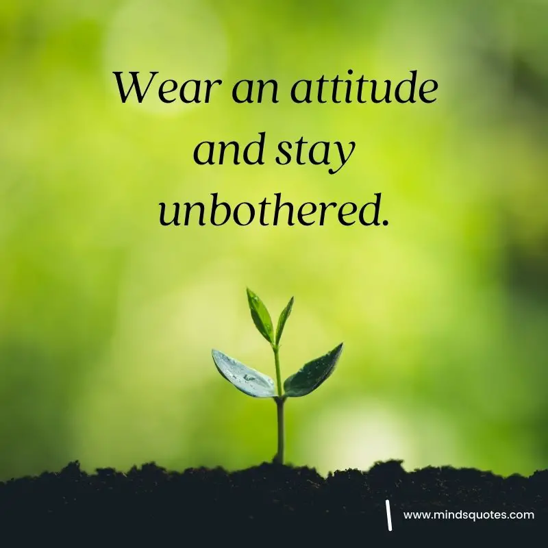50+ BEST Unbothered Quotes Change Your Unbothered Life 4 unbothered quotes