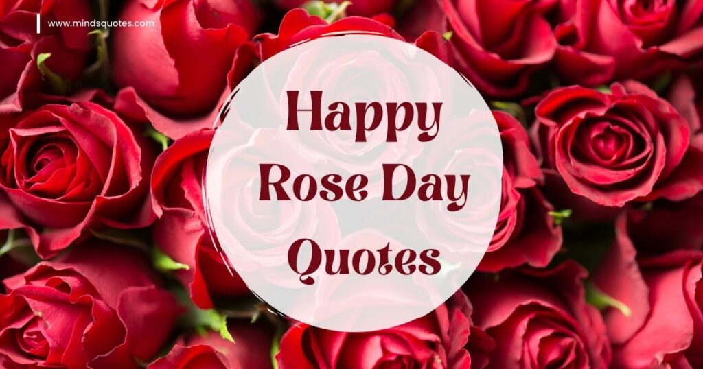 70 Best Happy Rose day Quotes,Wishes, Messages,Images