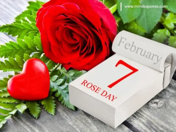 70+ Best Happy Rose day Quotes, Wishes, Messages, Images 14 Happy Rose Day Images