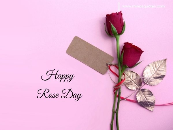 70+ Best Happy Rose day Quotes, Wishes, Messages, Images 23 Happy Rose Day Images