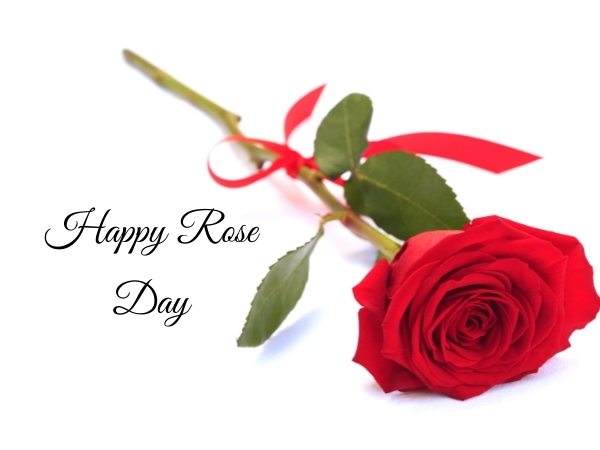 70+ Best Happy Rose day Quotes, Wishes, Messages, Images 6 Happy Rose Day Images