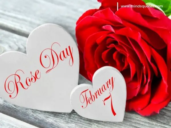 70+ Best Happy Rose day Quotes, Wishes, Messages, Images 15 Happy Rose Day Images