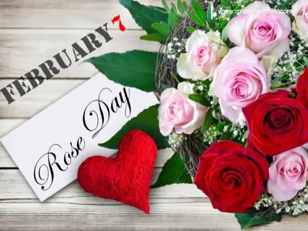 70+ Best Happy Rose day Quotes, Wishes, Messages, Images 16 Happy Rose Day Images