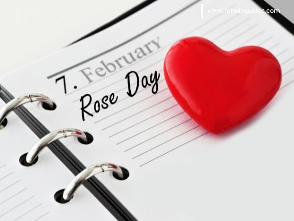 70+ Best Happy Rose day Quotes, Wishes, Messages, Images 17 Happy Rose Day Images