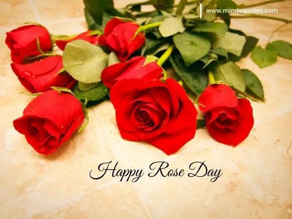 70+ Best Happy Rose day Quotes, Wishes, Messages, Images 18 Happy Rose Day Images