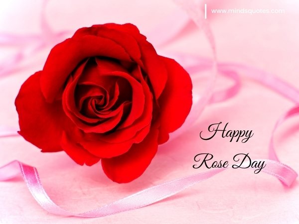 70+ Best Happy Rose day Quotes, Wishes, Messages, Images 21 Happy Rose Day Images
