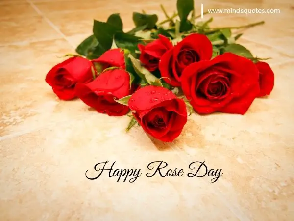 70+ Best Happy Rose day Quotes, Wishes, Messages, Images 22 Happy Rose Day Images