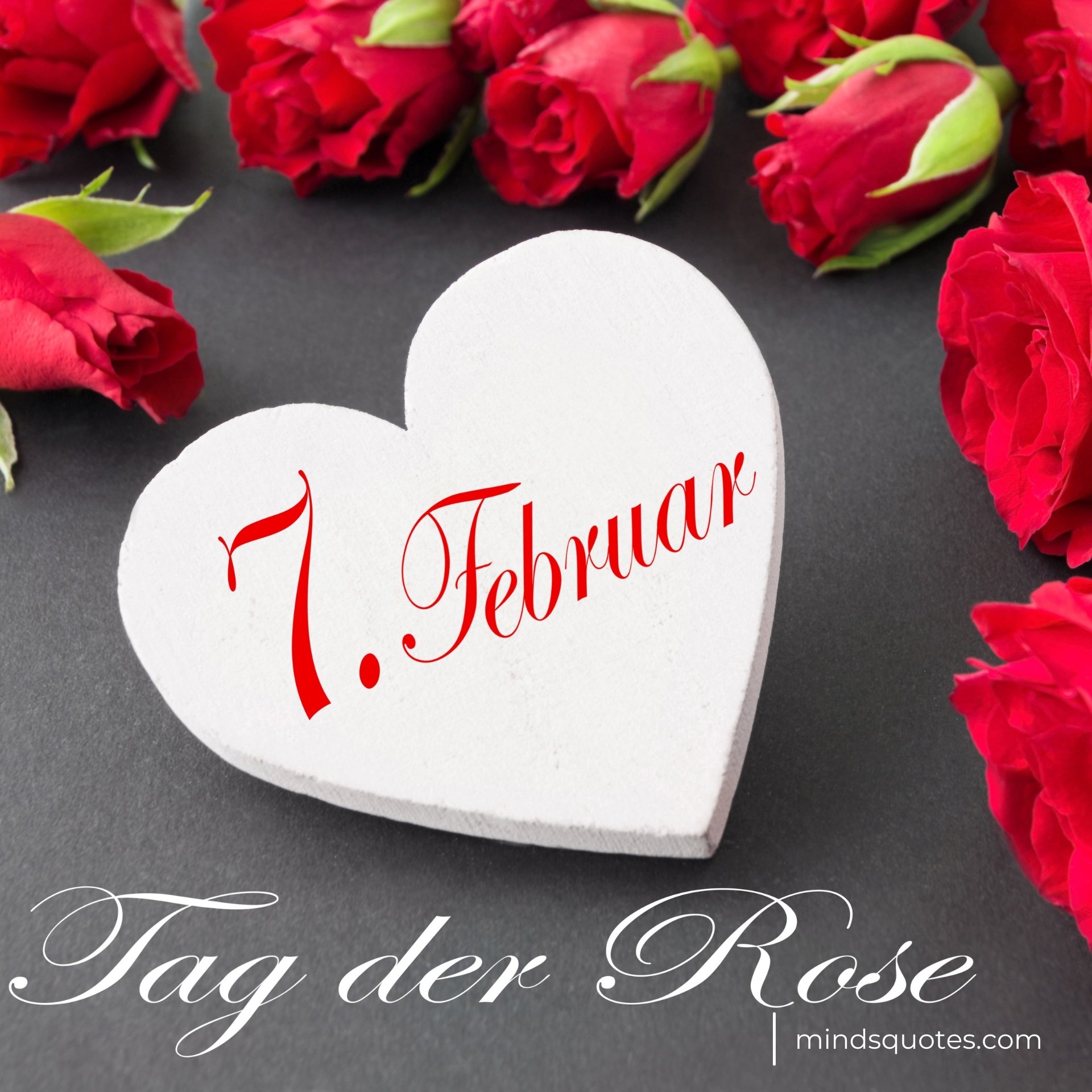 70+ Best Happy Rose day Quotes, Wishes, Messages, Images 13 Happy Rose Day Images