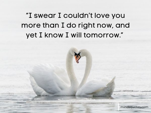 114+ Best Love Quotes For Her To Express Your Feelings 2 Love Quotes for Her