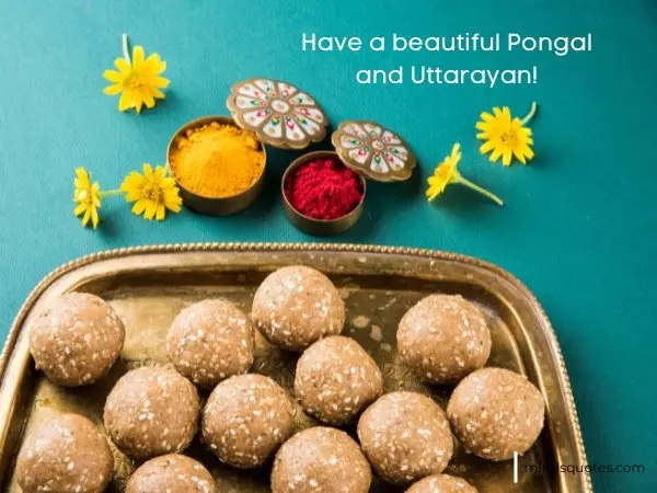 50 Best Happy Makar Sankranti Wishes, Images, Quotes 2023 8 Makar Sankranti 2022