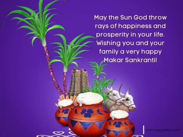 50 Best Happy Makar Sankranti Wishes, Images, Quotes 2023 3 Makar Sankranti Wishes