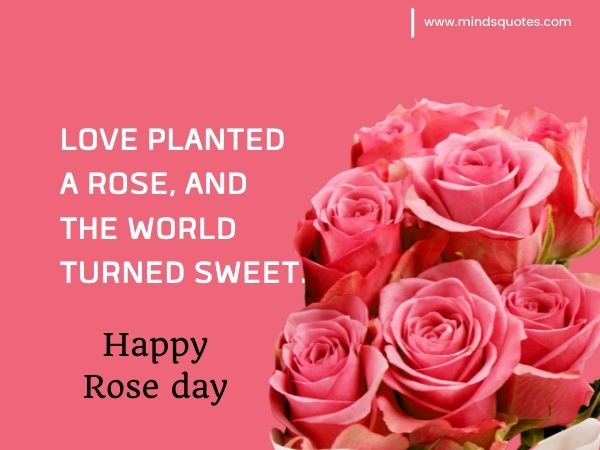 Rose day Quotes