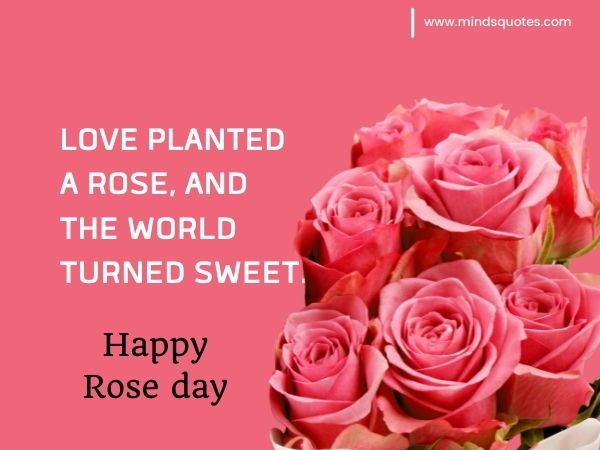 70+ Best Happy Rose day Quotes, Wishes, Messages, Images 3 Rose day Quotes