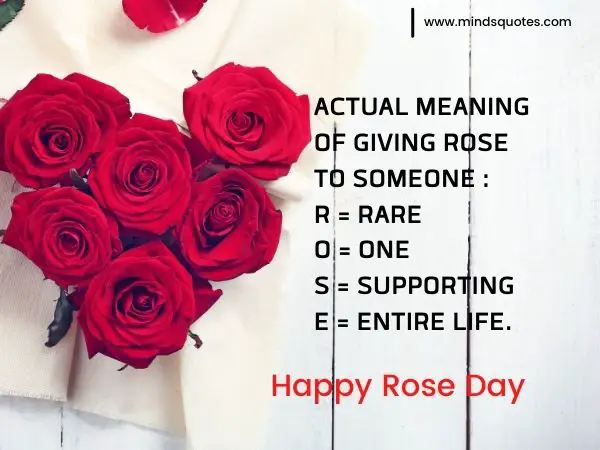 70+ Best Happy Rose day Quotes, Wishes, Messages, Images 5 Happy Rose Day Quotes