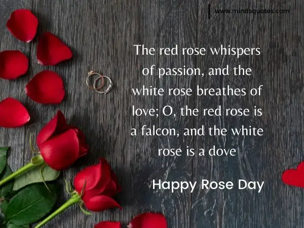 70+ Best Happy Rose day Quotes, Wishes, Messages, Images 7 Rose day Quotes