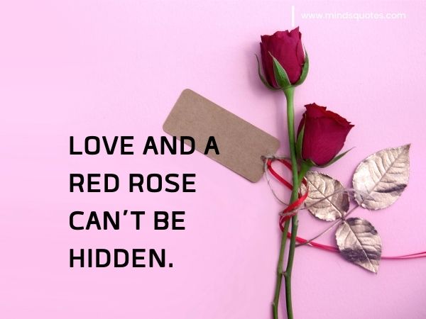 70+ Best Happy Rose day Quotes, Wishes, Messages, Images 2 Rose day Quotes