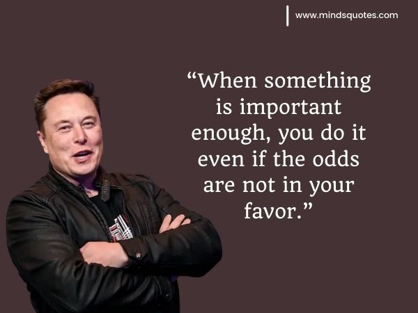 185+ Best Elon Musk Quotes That Will Inspire Your Success 11 Quotes About Elon Musk