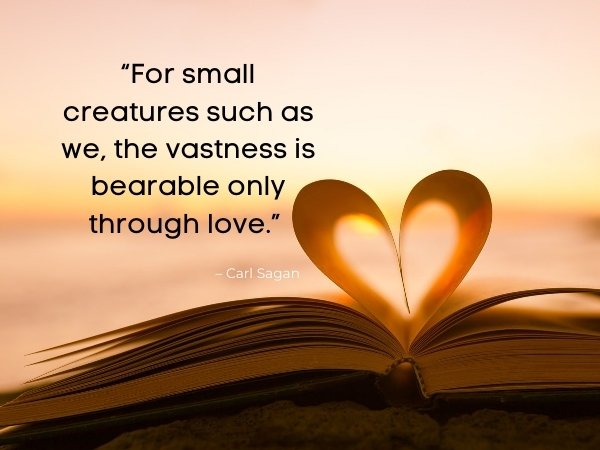100 Most Beautiful Love Quotes Of All Time 5 love quotes with image