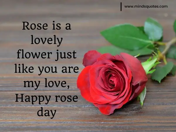 70+ Best Happy Rose day Quotes, Wishes, Messages, Images 11 romantic rose day images