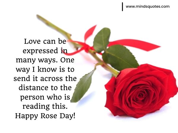 70+ Best Happy Rose day Quotes, Wishes, Messages, Images 9 rose day quotes