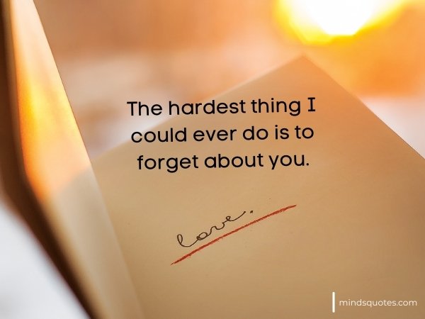 114+ Best Love Quotes For Her To Express Your Feelings 8 short love quotes for her