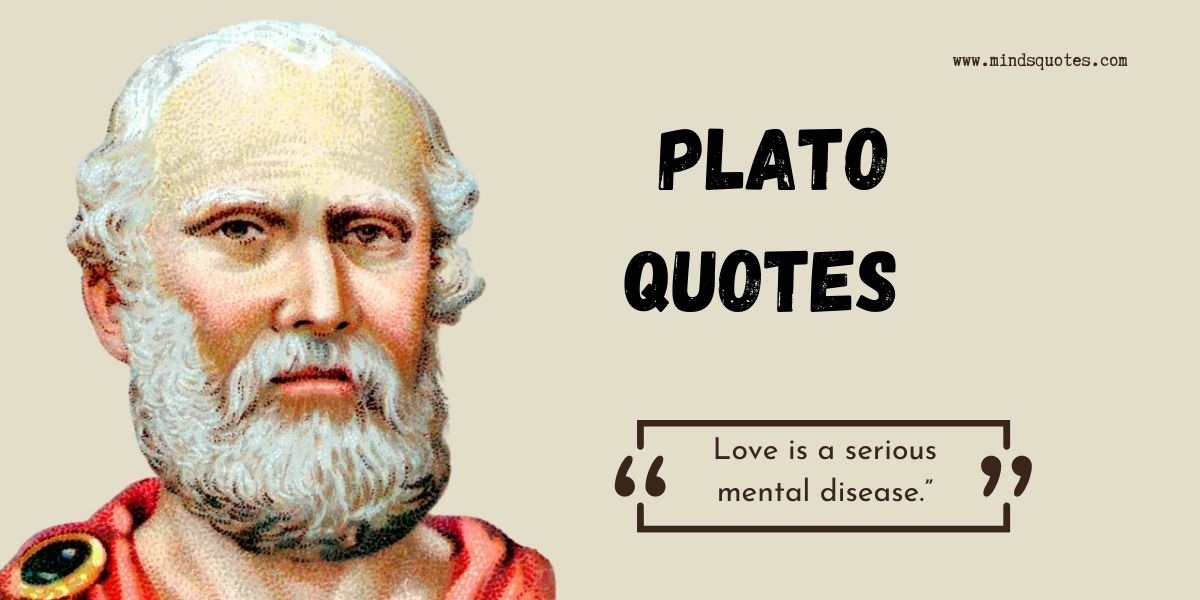 135 BEST Plato Quotes About Life, Success, Self, Education