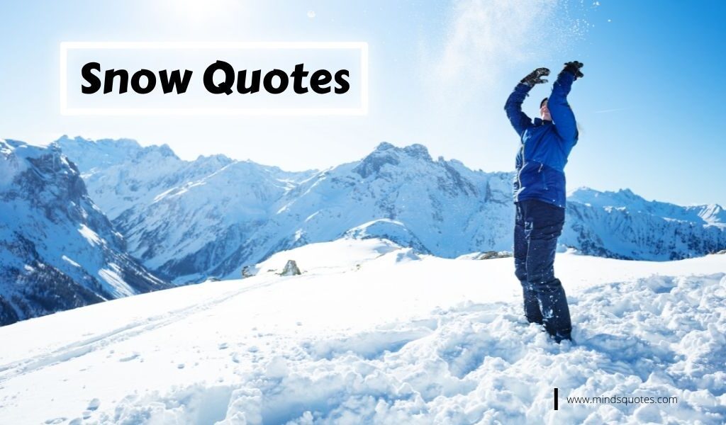 87+ BEST Beautiful Snow Quotes in English