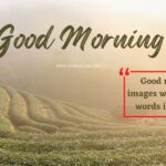 99 BEST Good Morning images with Positive Words in English