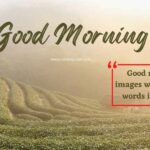 87 BEST Good Morning images with Positive Words in English