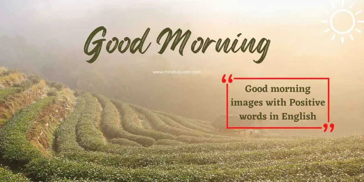 87 BEST Good Morning images with Positive Words in English