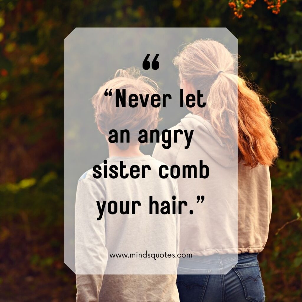 87 BEST Hilarious Brother Sister Funny Quotes With Images 3 Brother Sister Funny Quotes