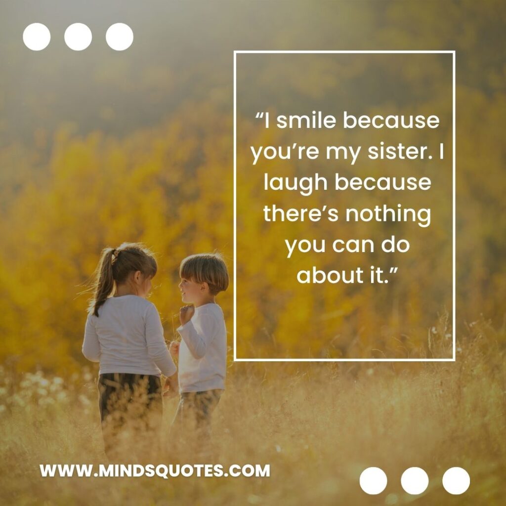 87 BEST Hilarious Brother Sister Funny Quotes With Images 4 Brother Sister Funny Quotes