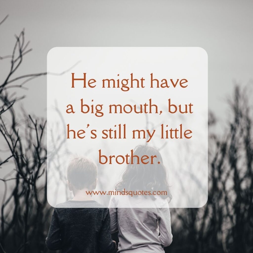 Brother Sister Funny Quotes