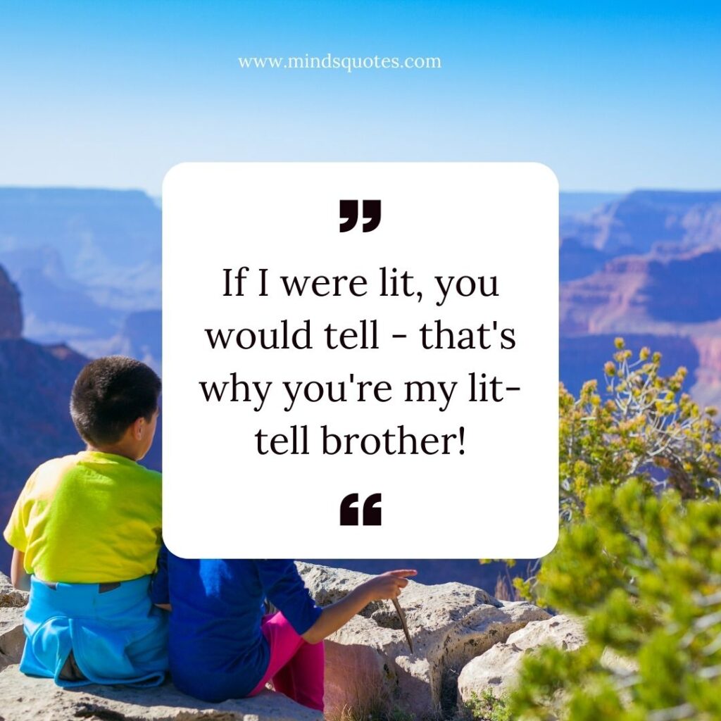 87 BEST Hilarious Brother Sister Funny Quotes With Images 6 Brother Sister Funny Quotes