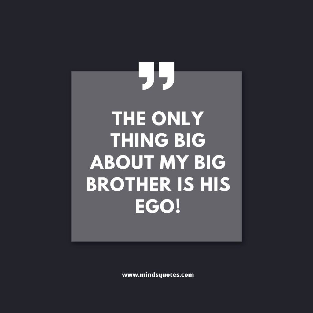 87 BEST Hilarious Brother Sister Funny Quotes With Images 7 Brother Sister Funny Quotes